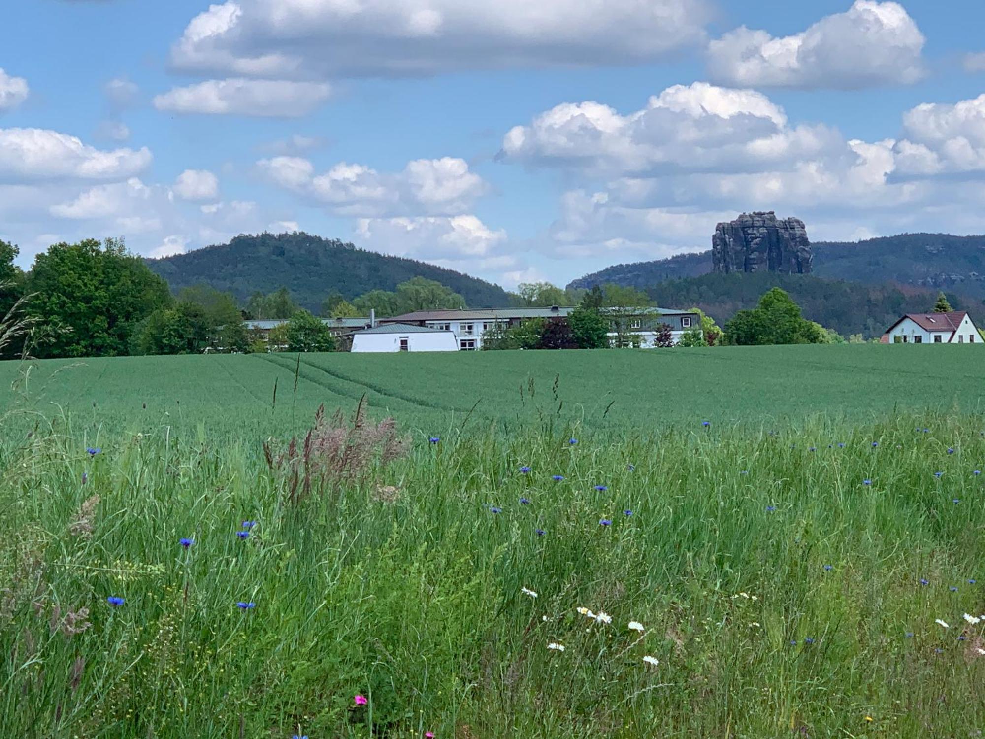 Gasthof Zur Hoffnung Hinterhermsdorf Esterno foto
