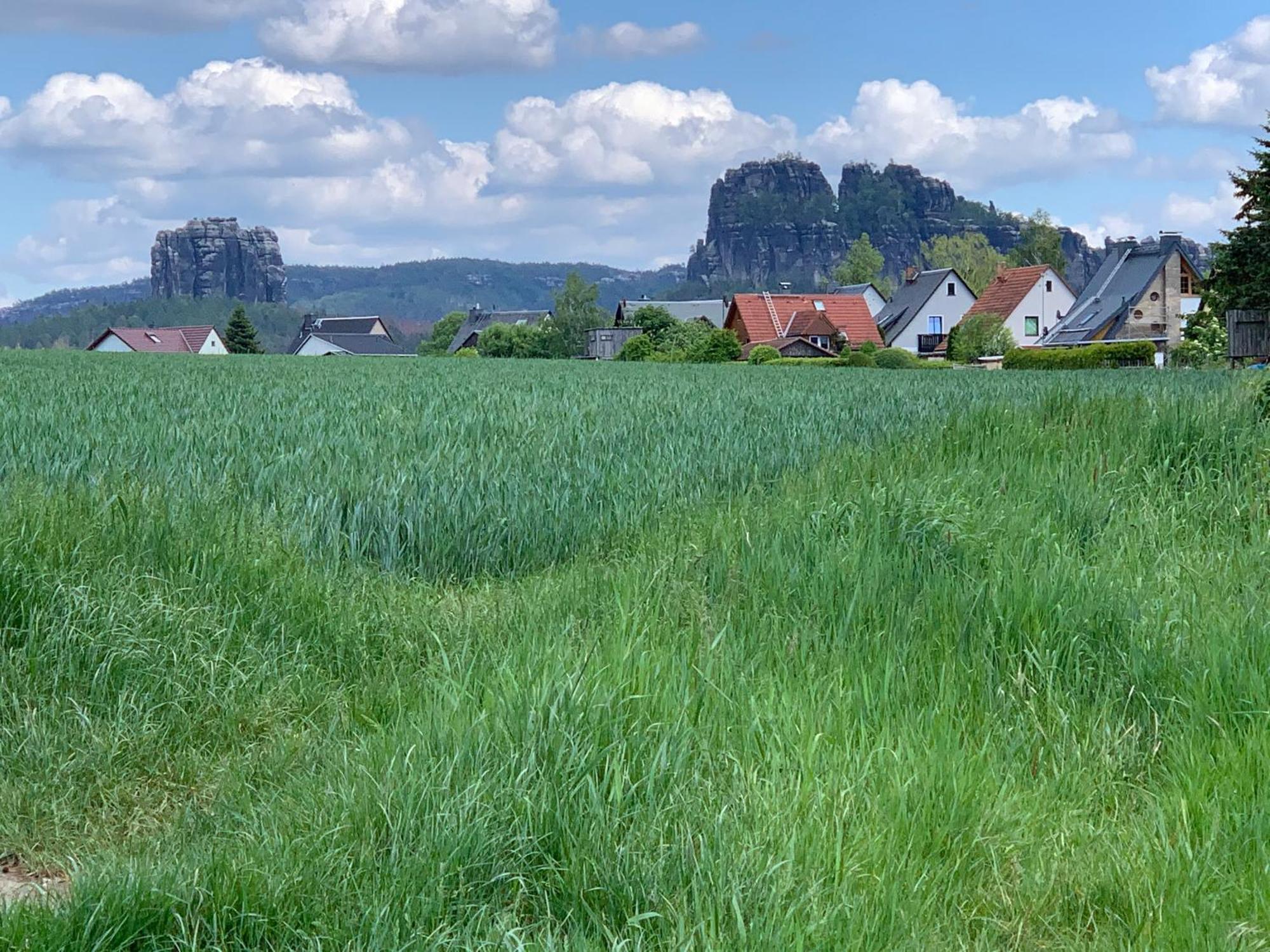 Gasthof Zur Hoffnung Hinterhermsdorf Esterno foto